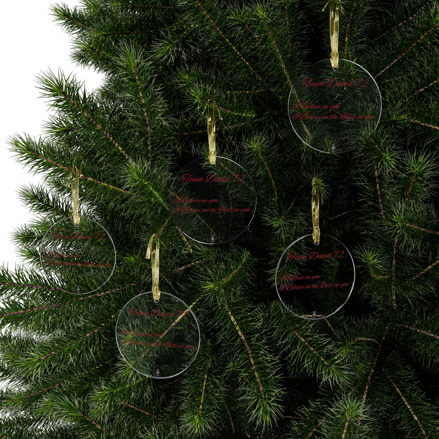 Acrylic Ornaments Team David 72