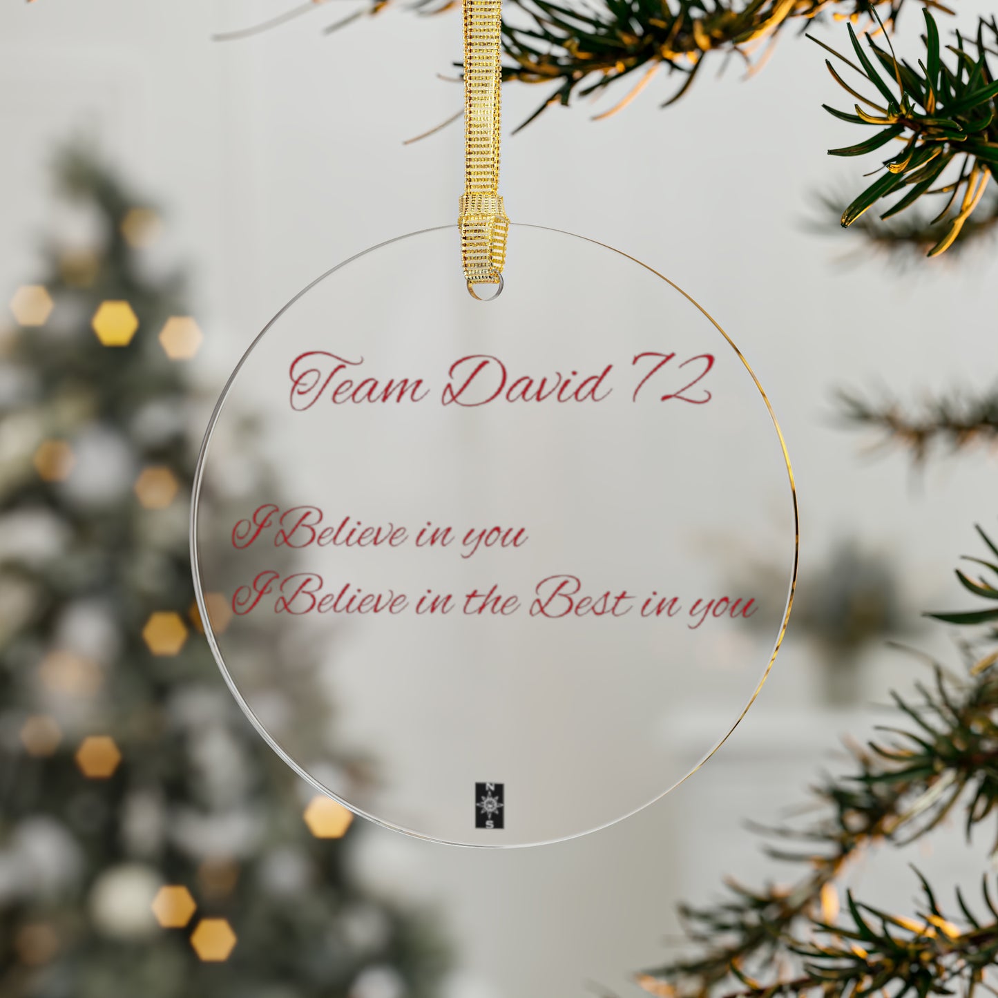 Acrylic Ornaments Team David 72