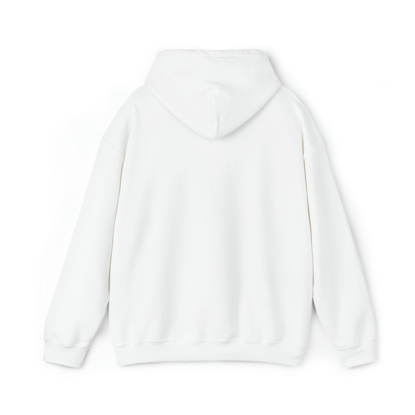 Copy of Unisex Heavy Blend™ Hooded Sweatshirt NFSC